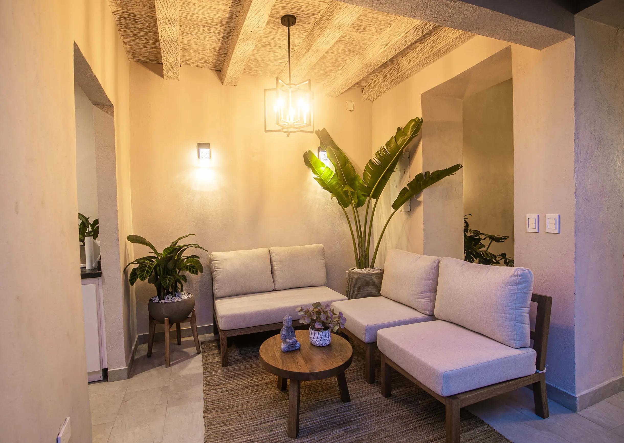 Wander Cartagena Garden #19