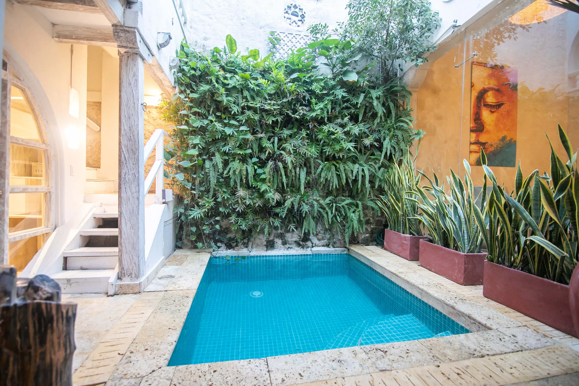 Wander Cartagena Oasis