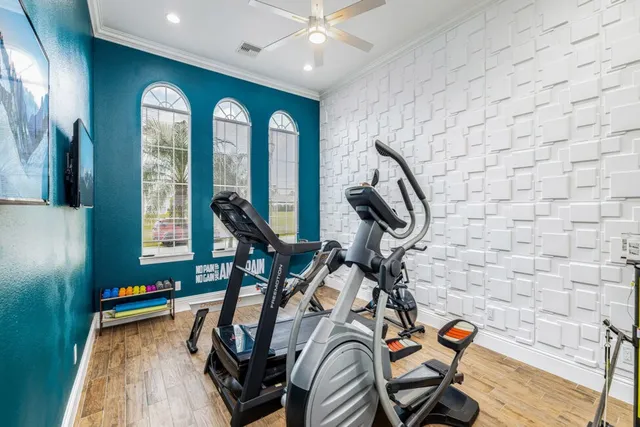 Wander Orlando Oasis #15