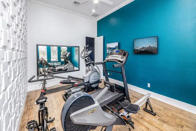 Wander Orlando Oasis #44