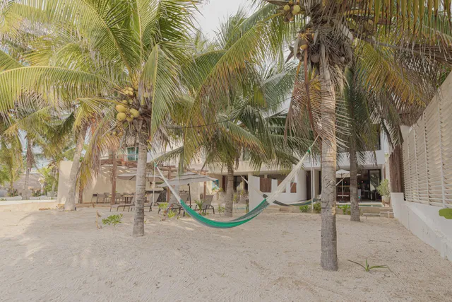 Wander Yucatan Coast #2
