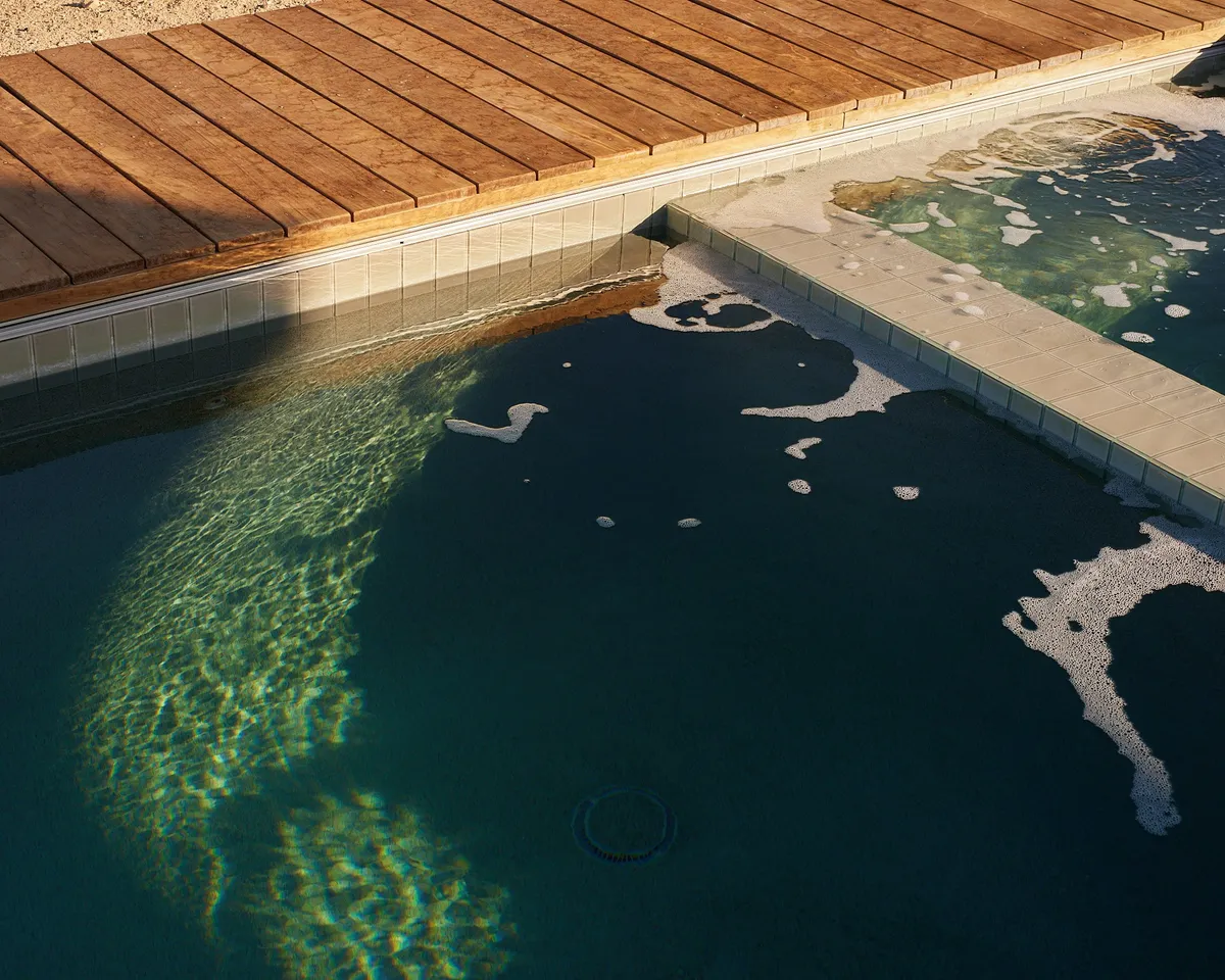 Wander Joshua Tree Panorama #31