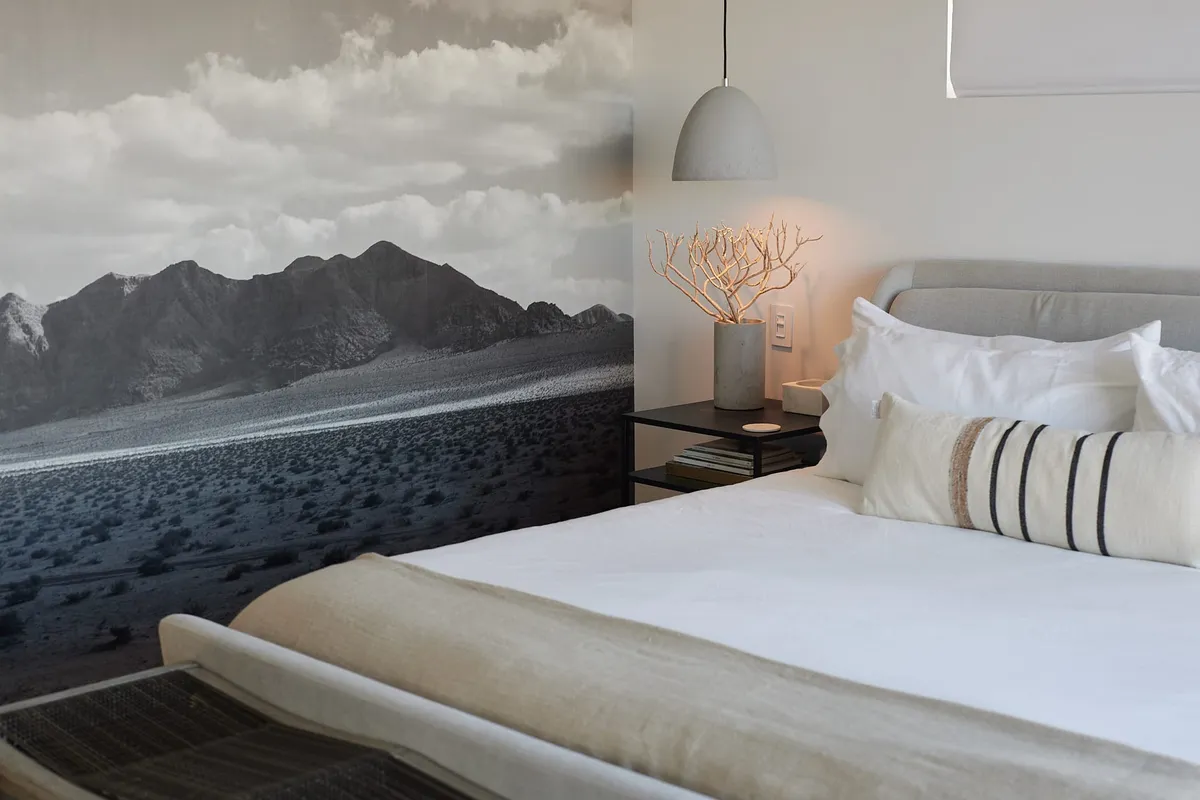 Wander Joshua Tree Panorama #18