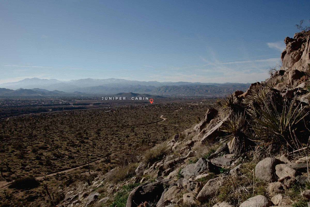 Wander Joshua Tree Mesa #18