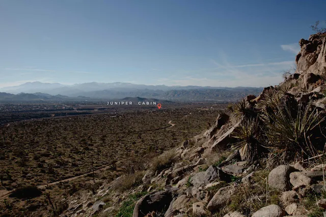 Wander Joshua Tree Mesa