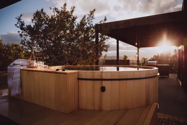 Wander Joshua Tree Mesa