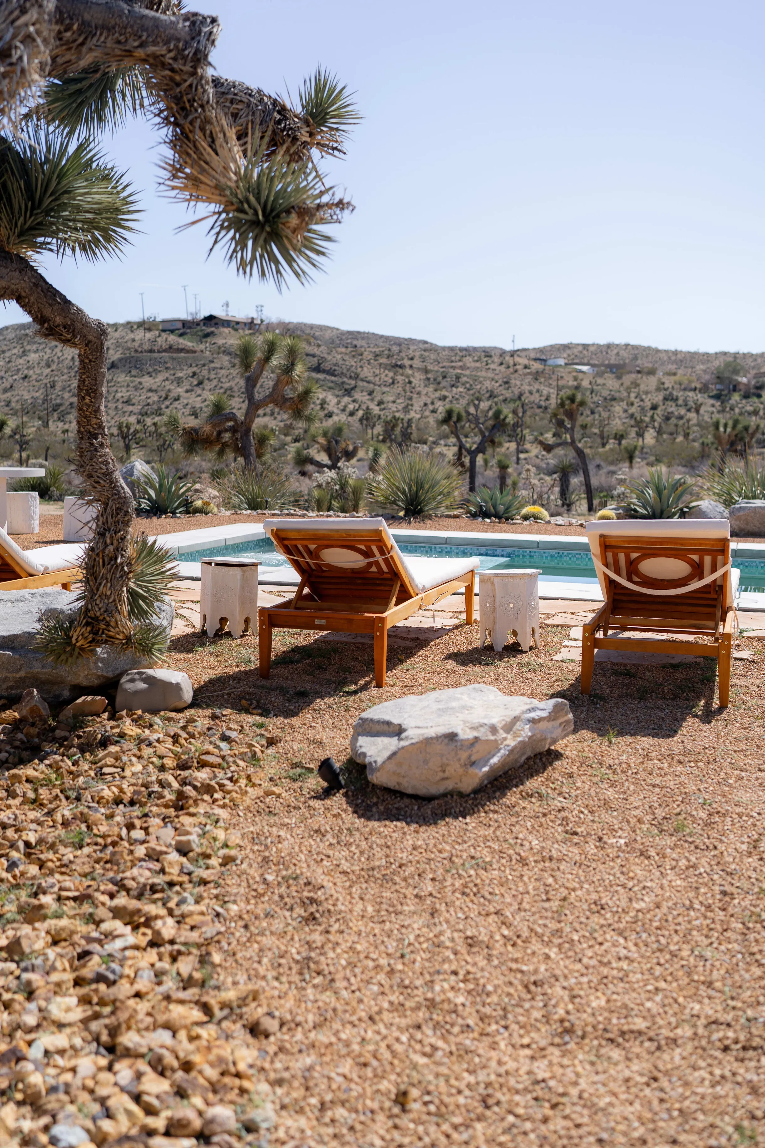 Wander Joshua Tree Mirage #51