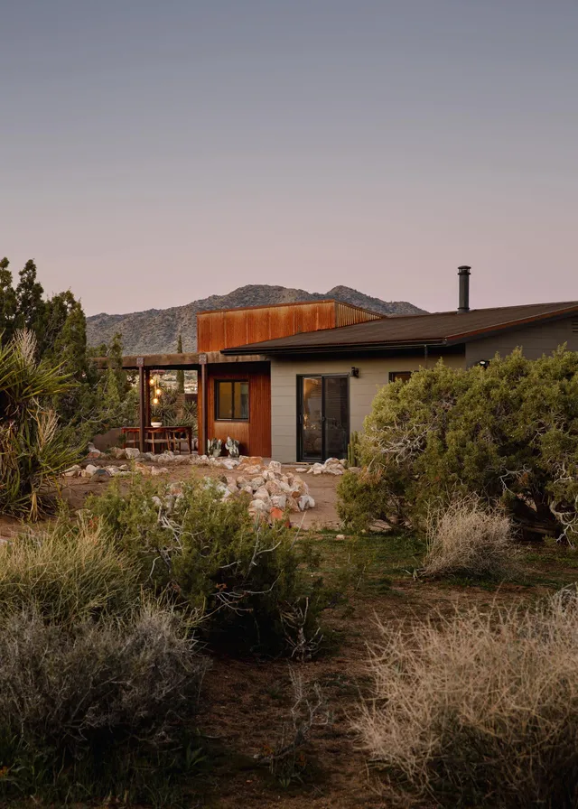 Wander Joshua Tree Mesa #4