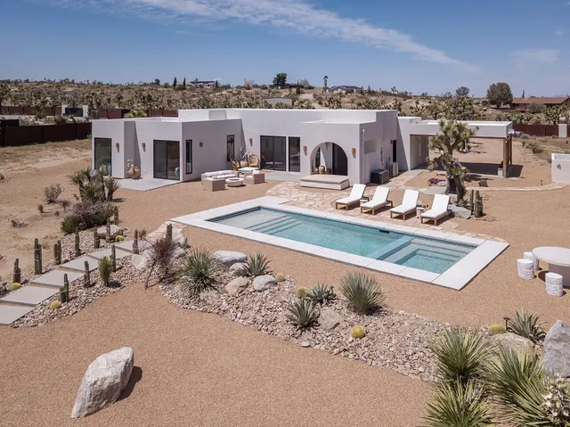 Wander Joshua Tree Mirage #4