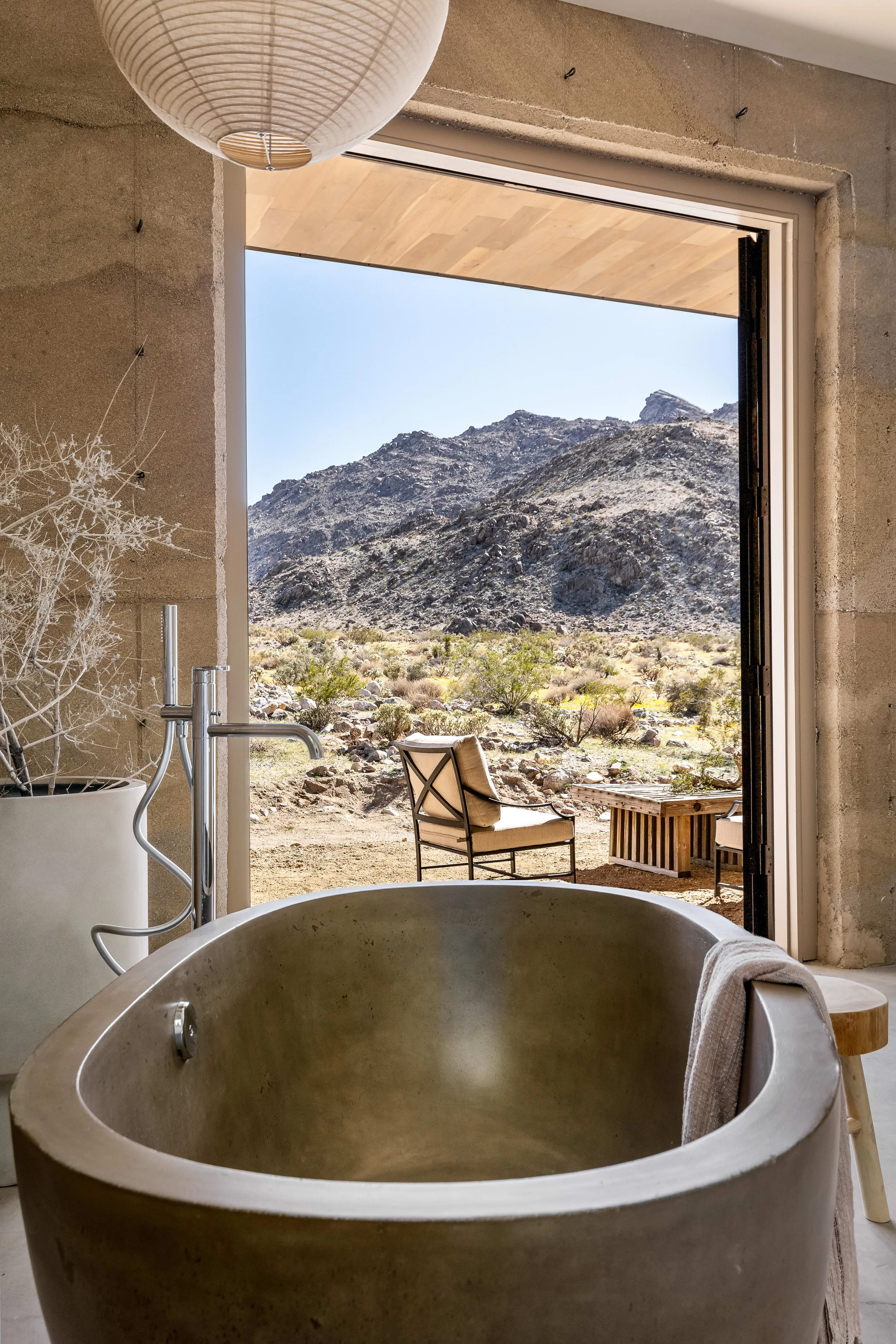 Wander Mojave Desert #22