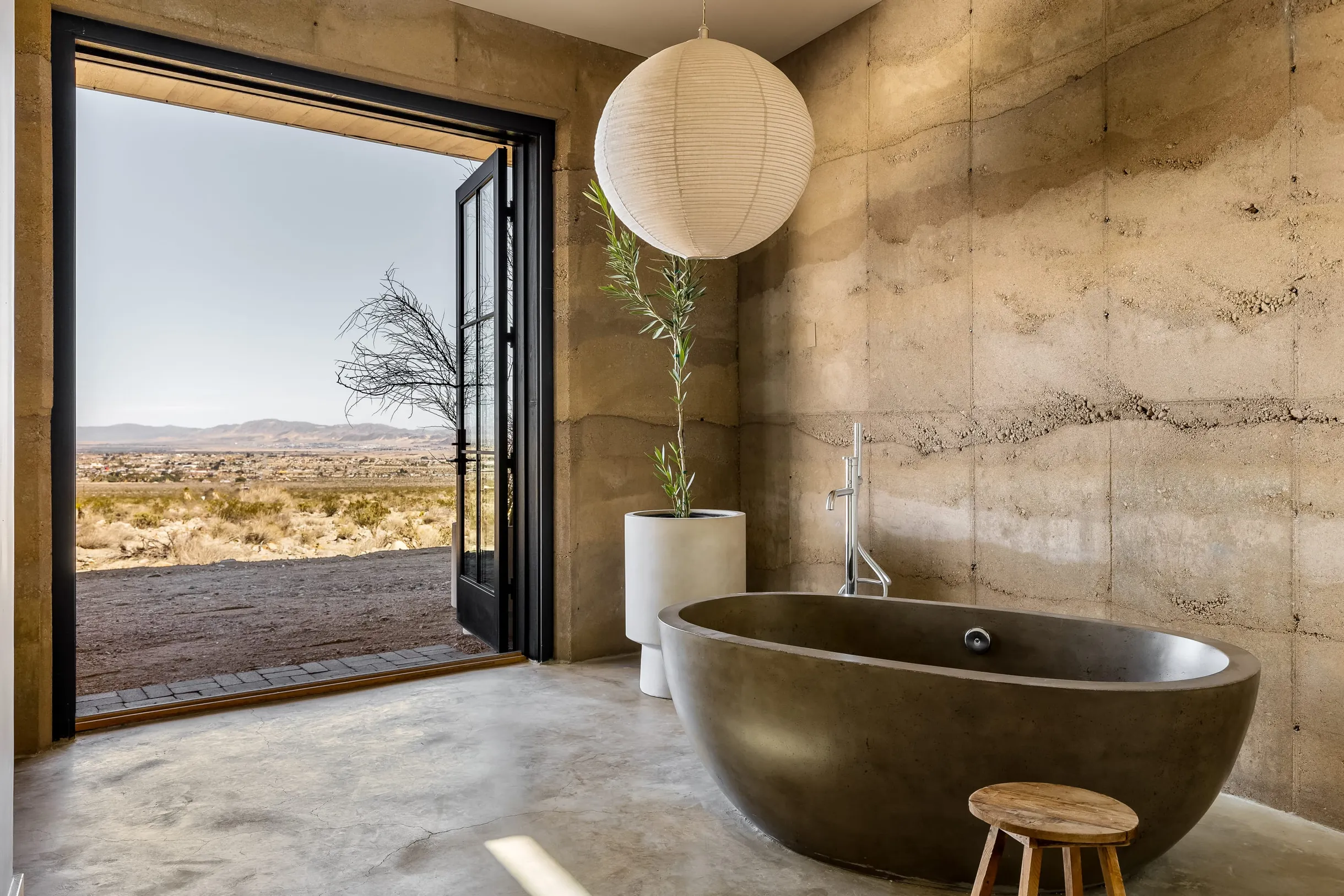 Wander Mojave Desert #40