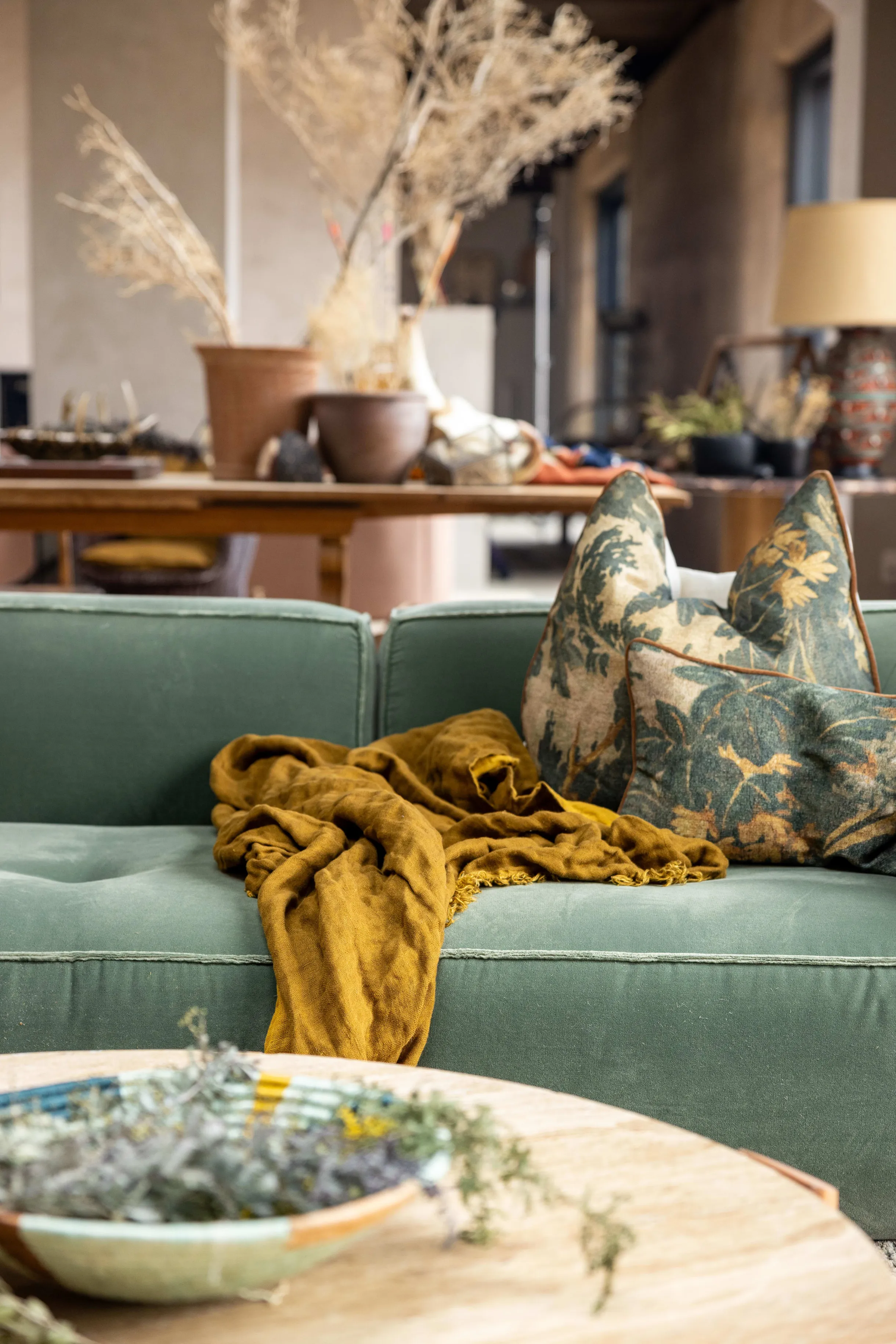 Wander Mojave Desert #56