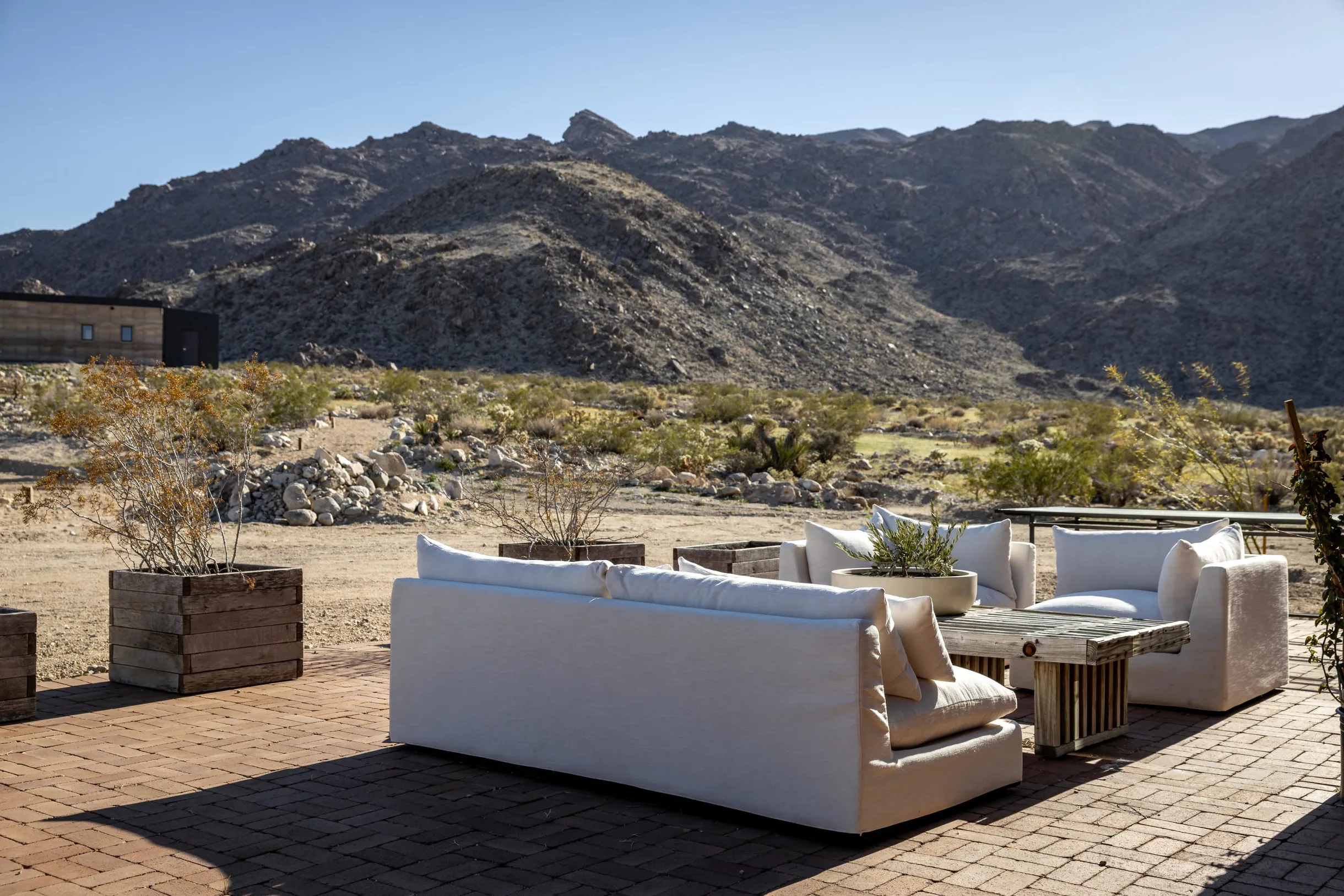 Wander Mojave Desert #64