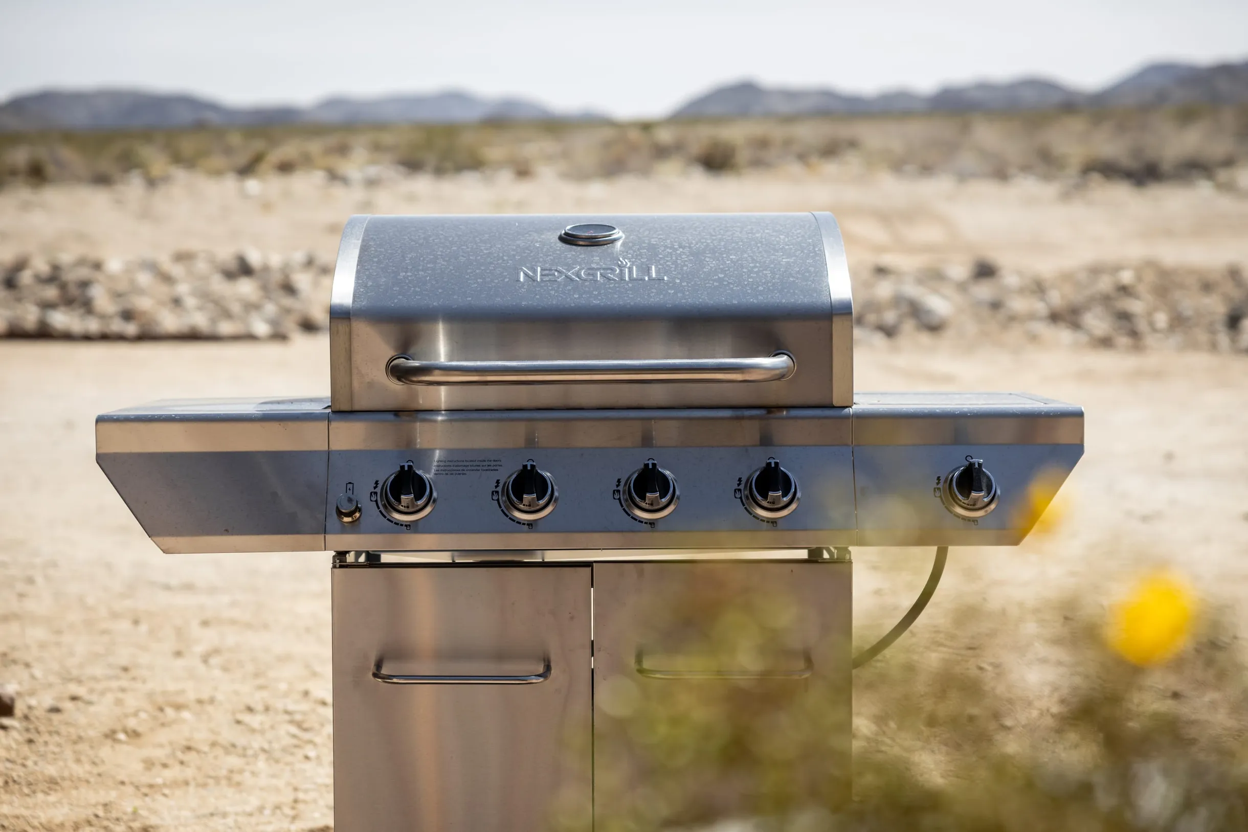 Wander Mojave Desert #74