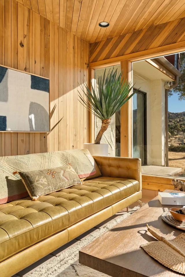 Wander High Desert Sol #37