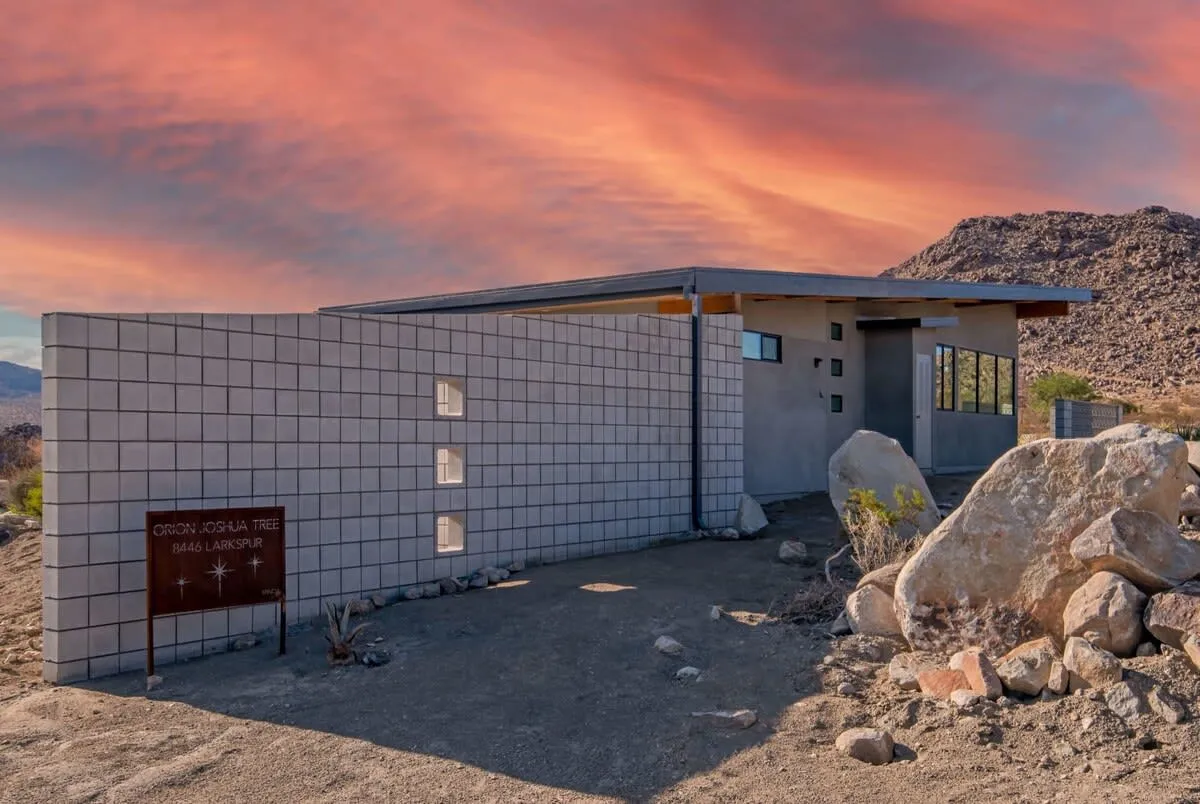 Wander Joshua Tree Horizon