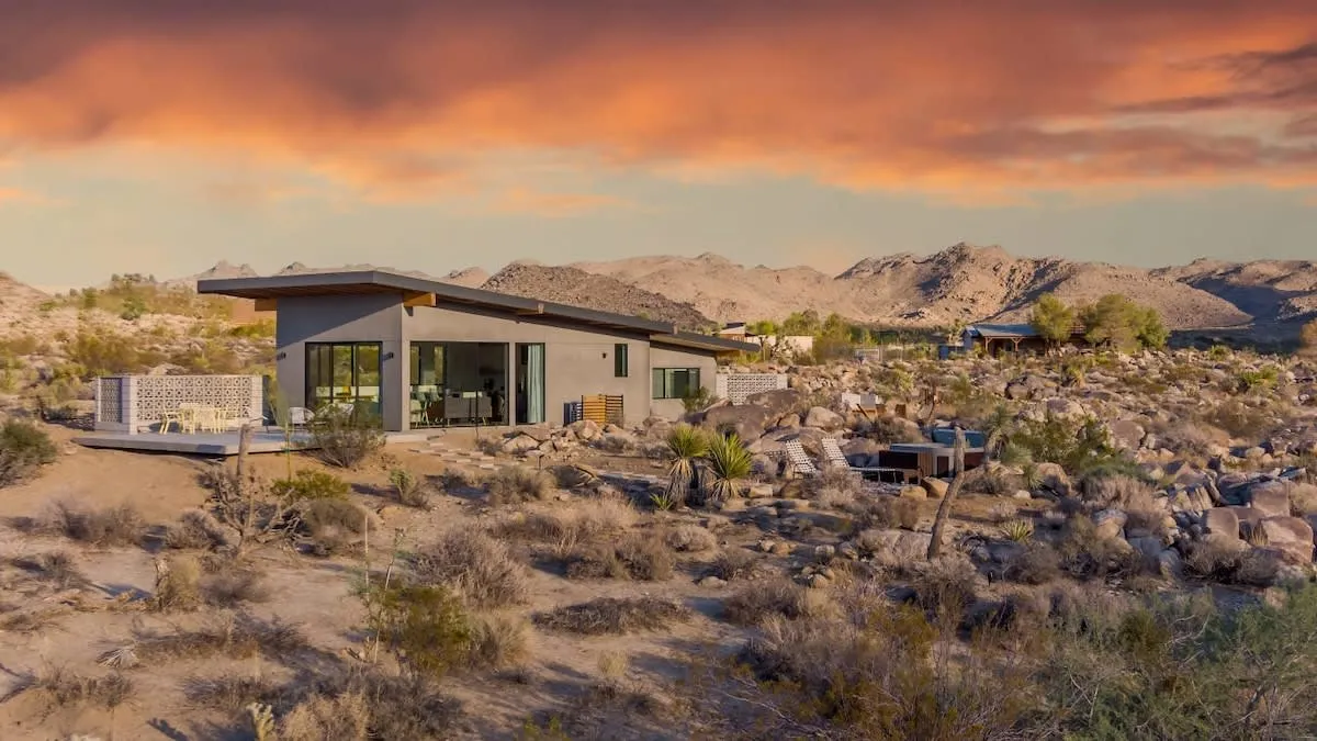 Wander Joshua Tree Horizon #20