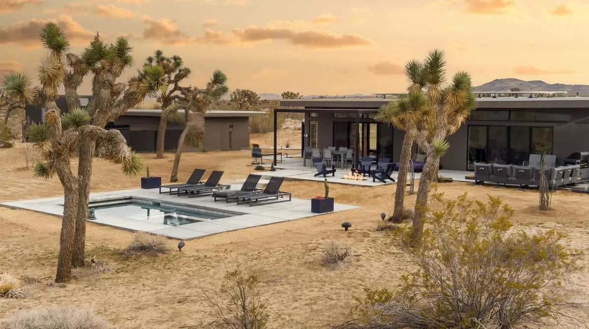 Wander Joshua Tree Spellbound #23