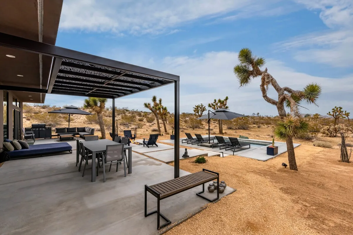 Wander Joshua Tree Spellbound #40