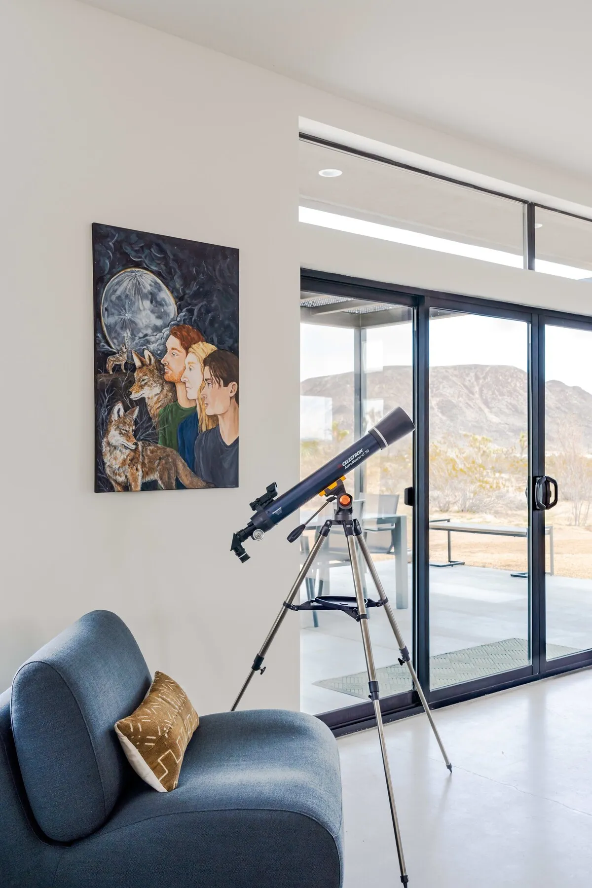 Wander Joshua Tree Spellbound #30