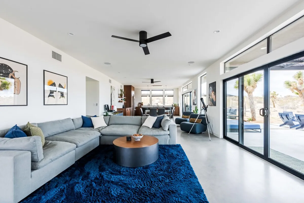 Wander Joshua Tree Spellbound #19