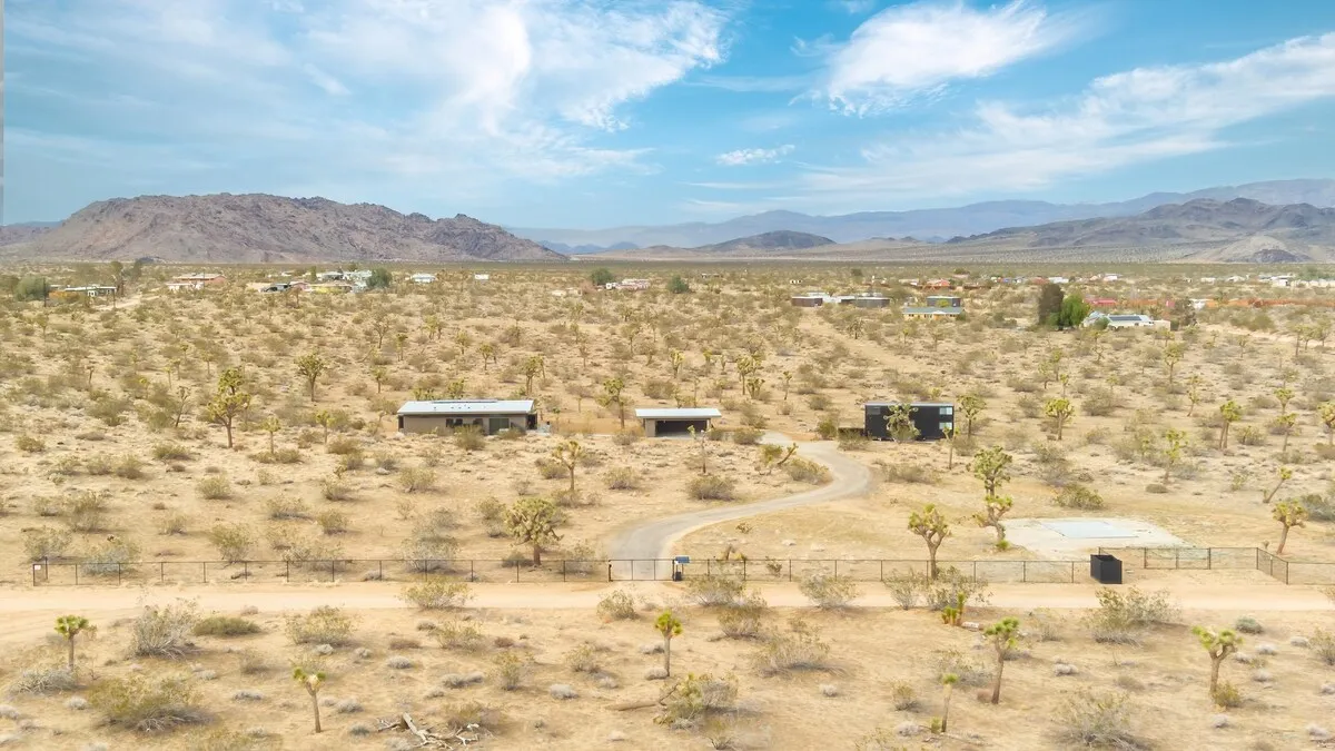 Wander Joshua Tree Spellbound #36