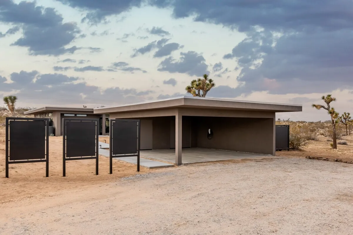 Wander Joshua Tree Spellbound #5