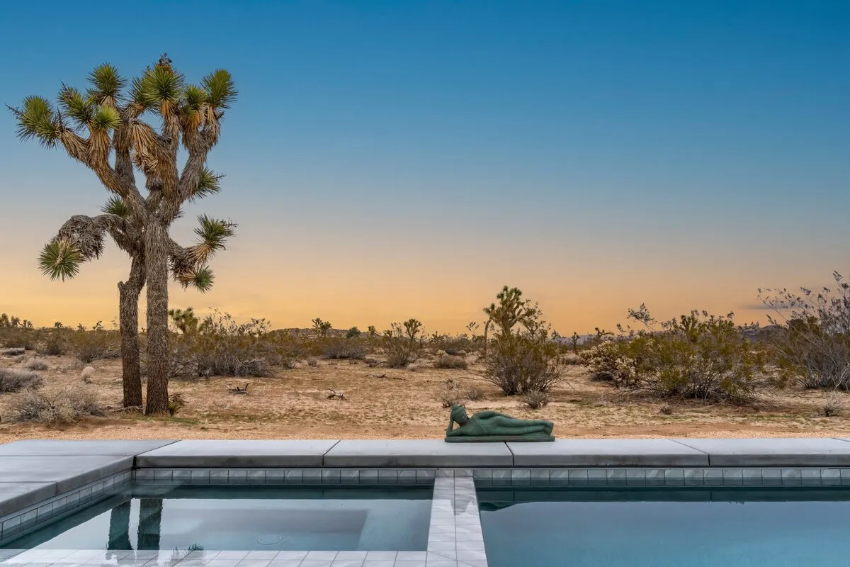 Wander Joshua Tree Spellbound #22