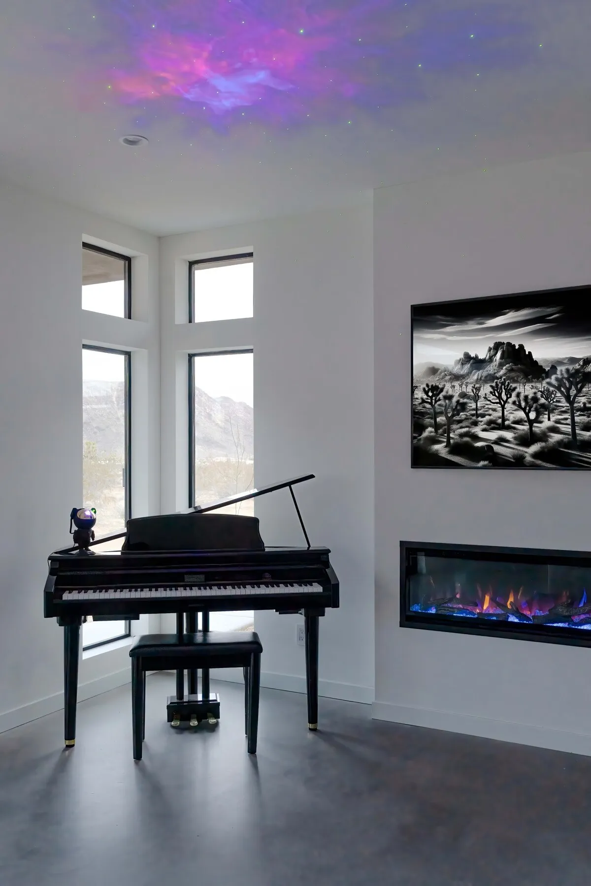 Wander Joshua Tree Spellbound #43