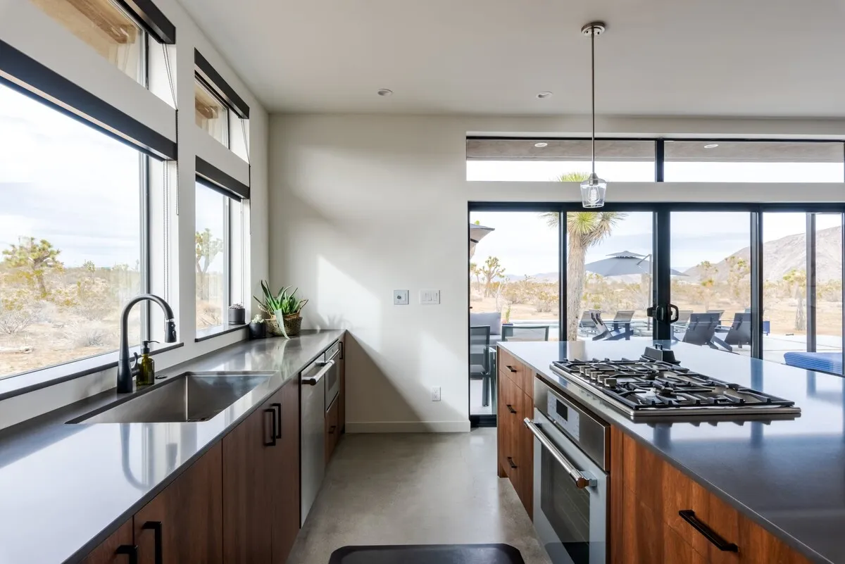 Wander Joshua Tree Spellbound #32