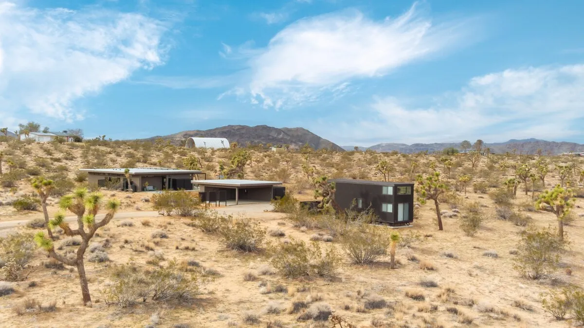 Wander Joshua Tree Spellbound #33