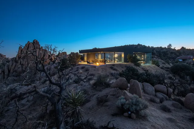 Wander Black Desert #4