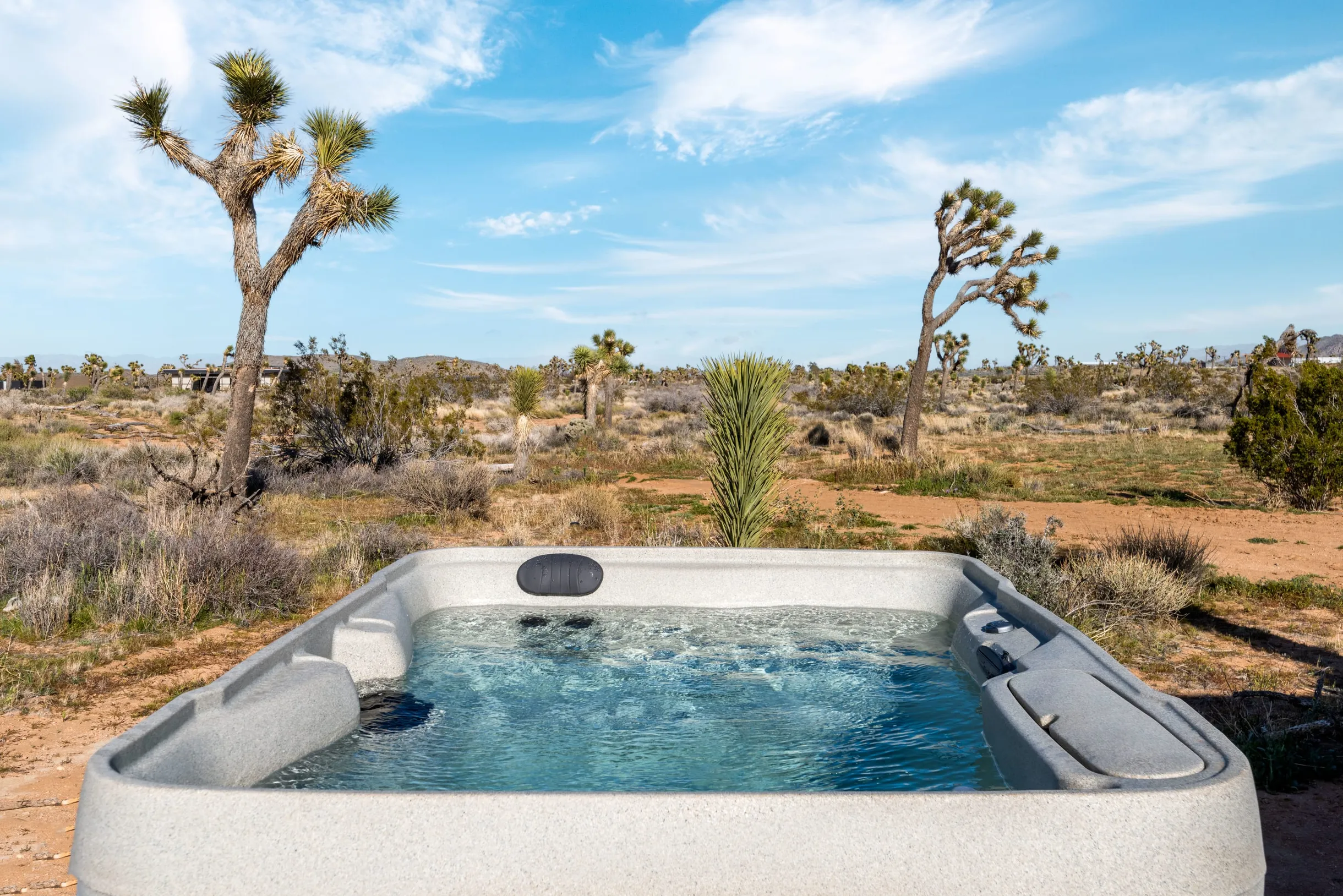 Wander High Desert Rancho #6