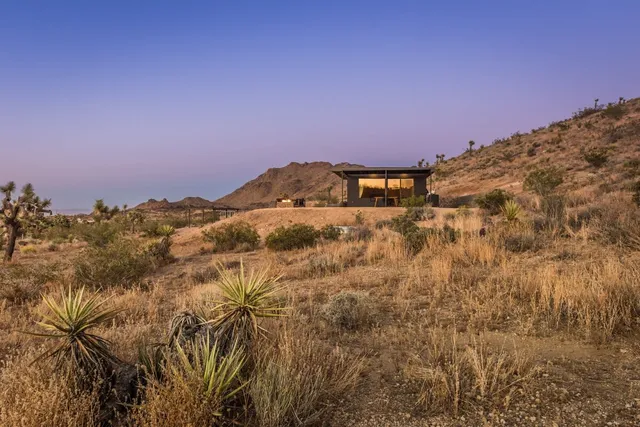 Wander Joshua Tree Haven #2