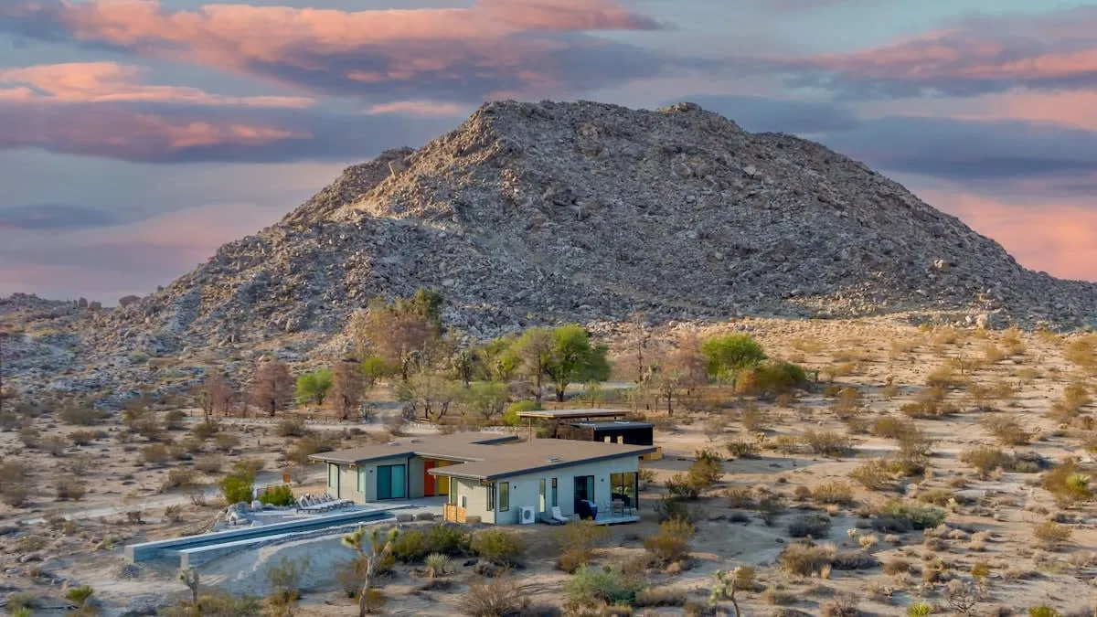 Wander Joshua Tree Horizon #2