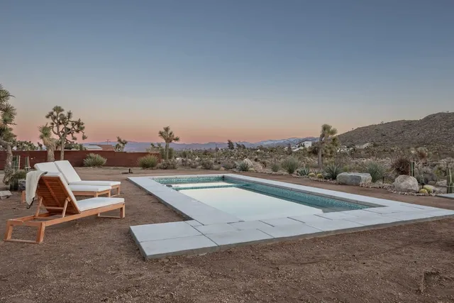 Wander Joshua Tree Mirage #2