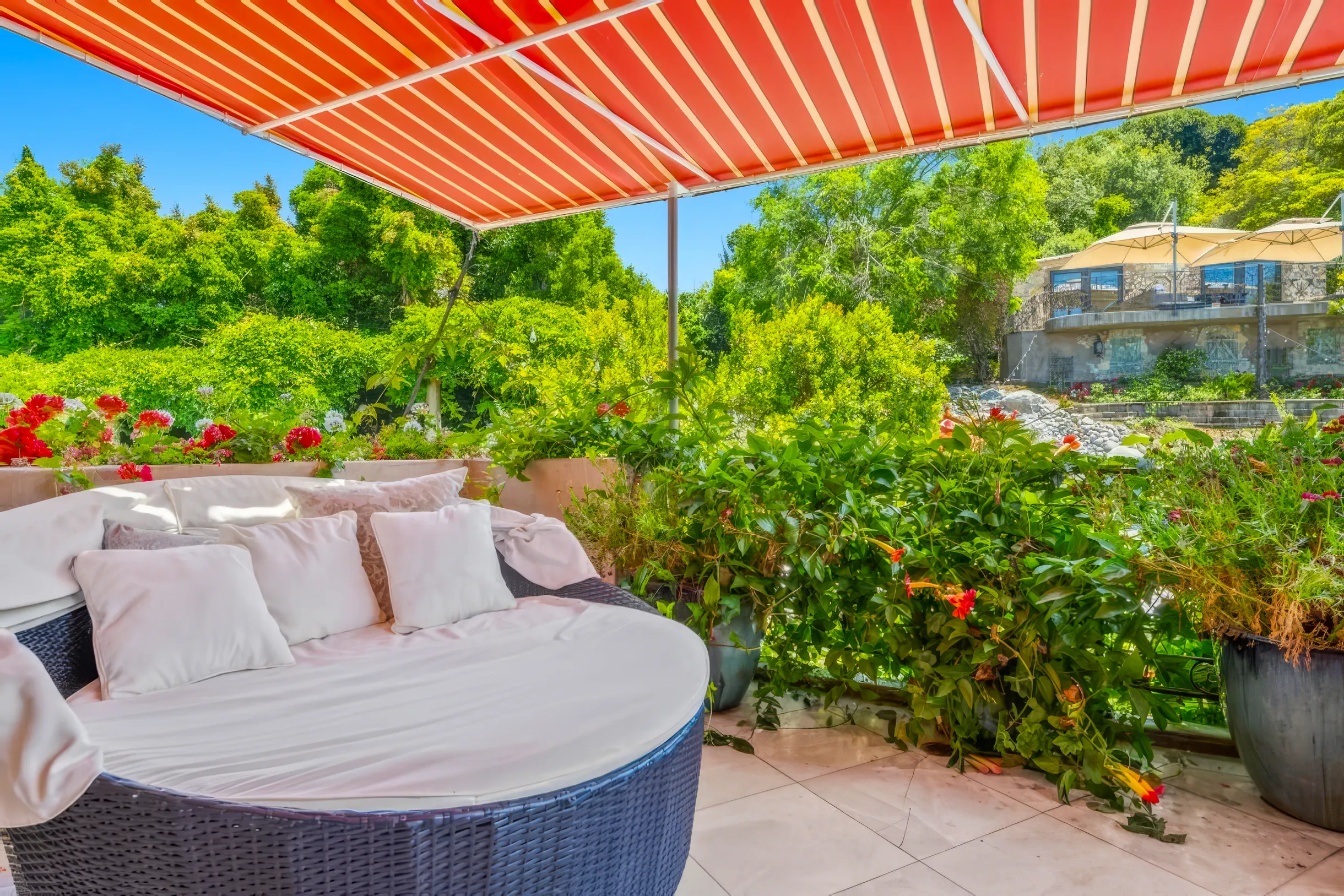 Wander San Diego Aura #16