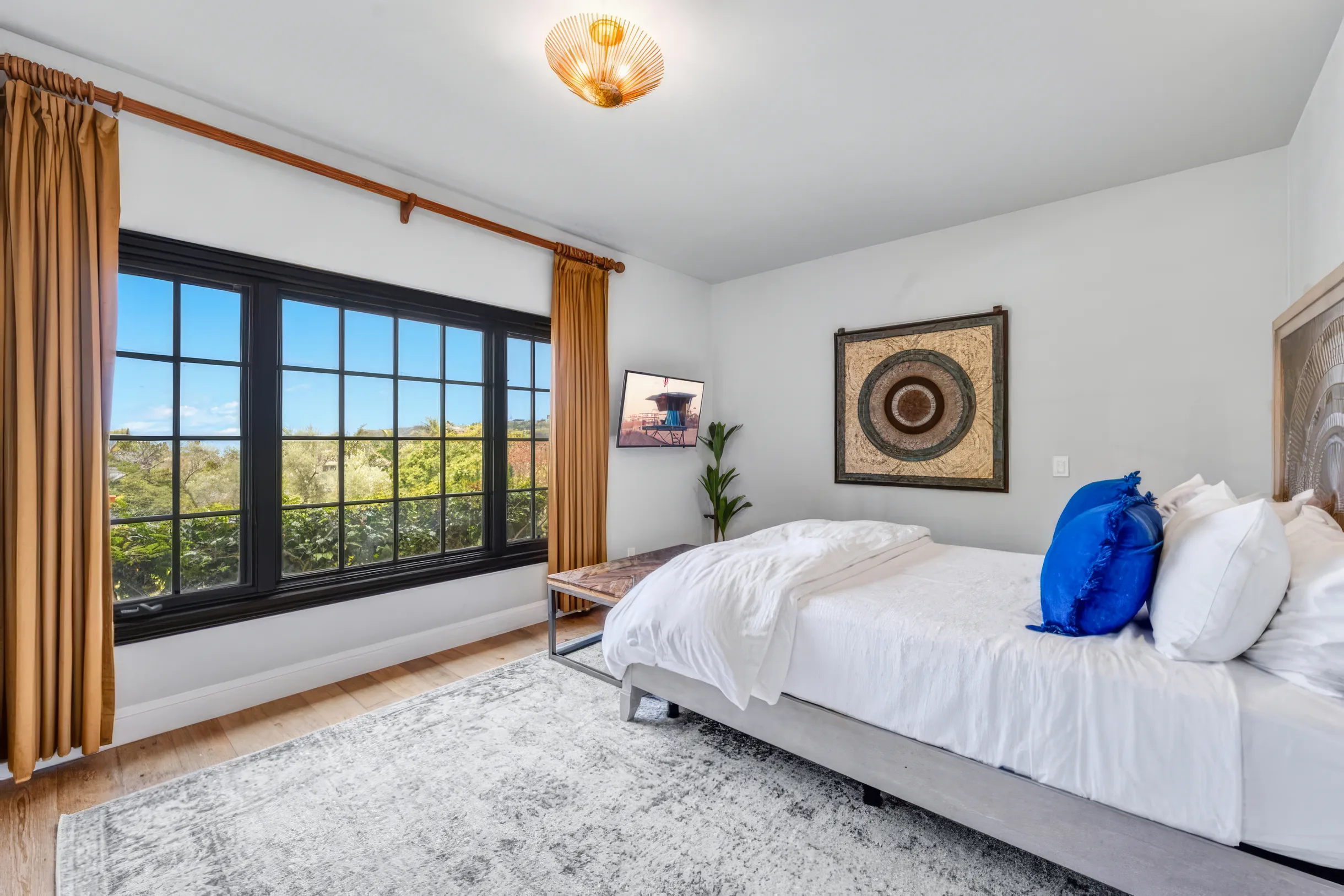 Wander San Diego Aura #58