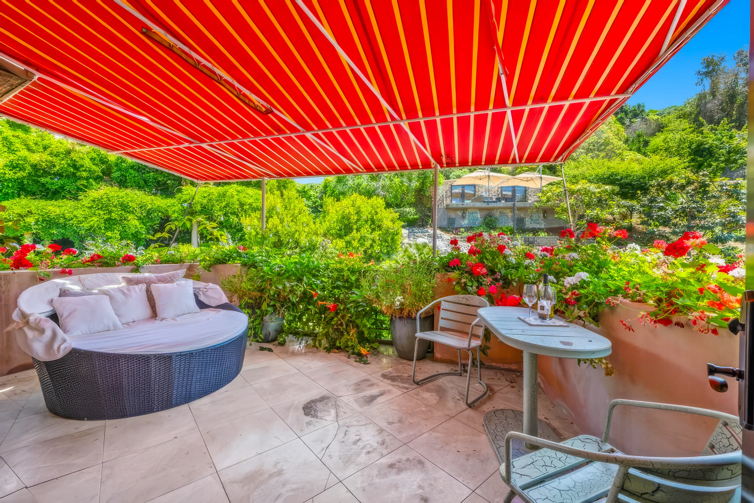 Wander San Diego Aura #79