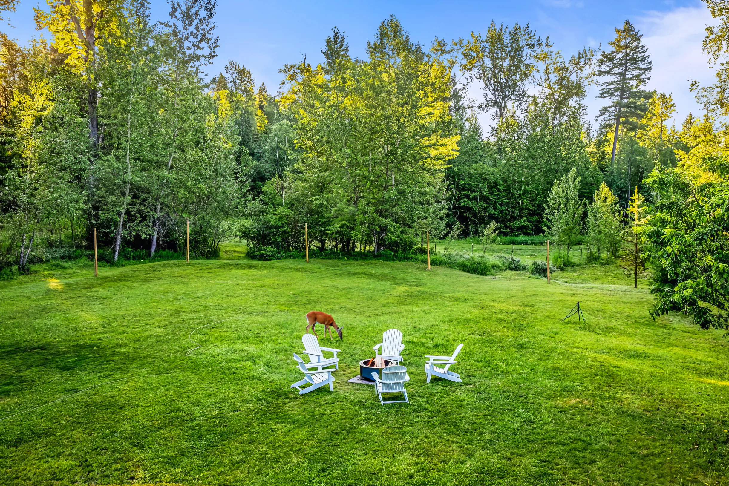 Wander Whitefish Timber #52