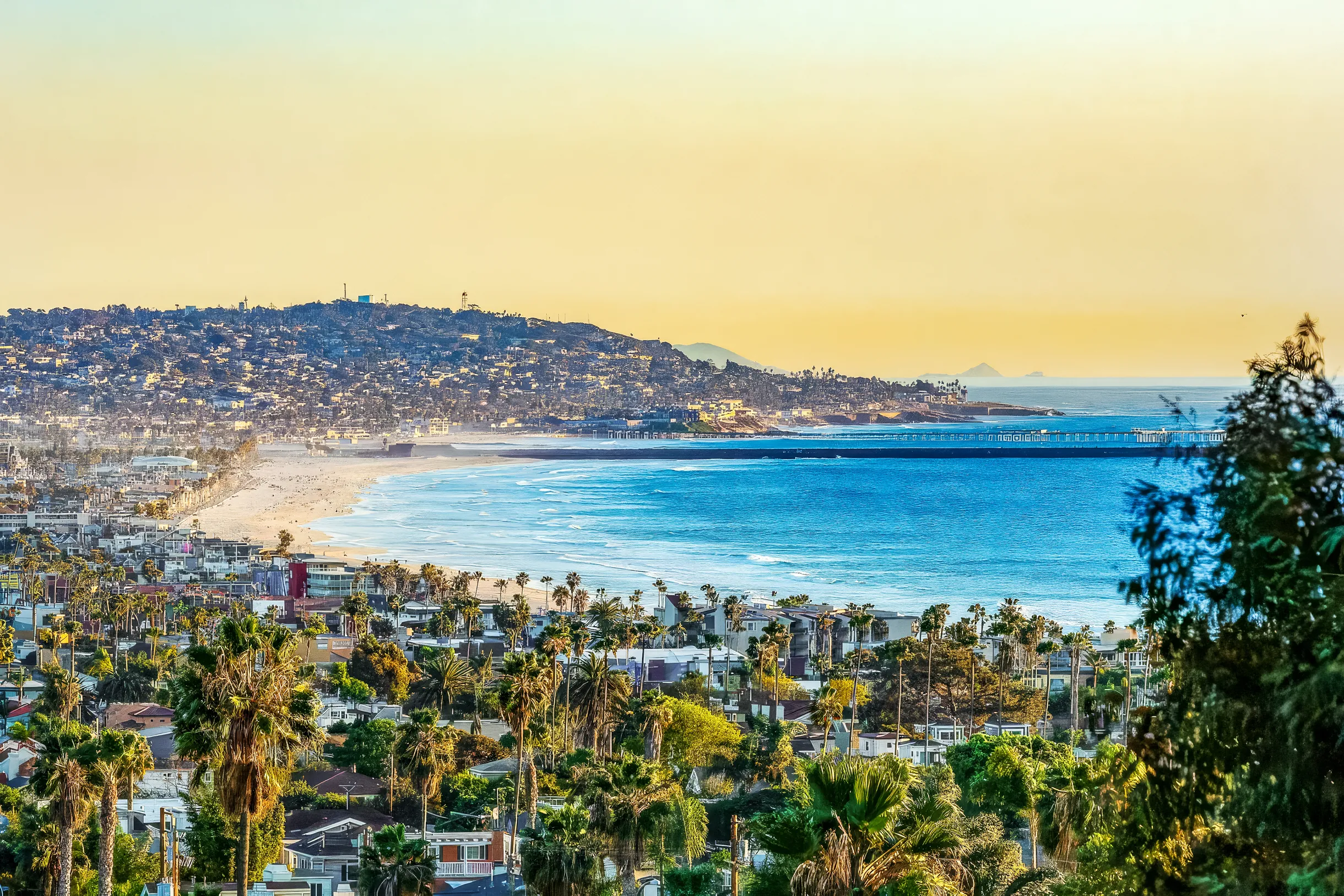 Wander San Diego Nova #4