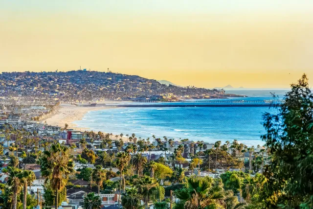 Wander San Diego Nova #4