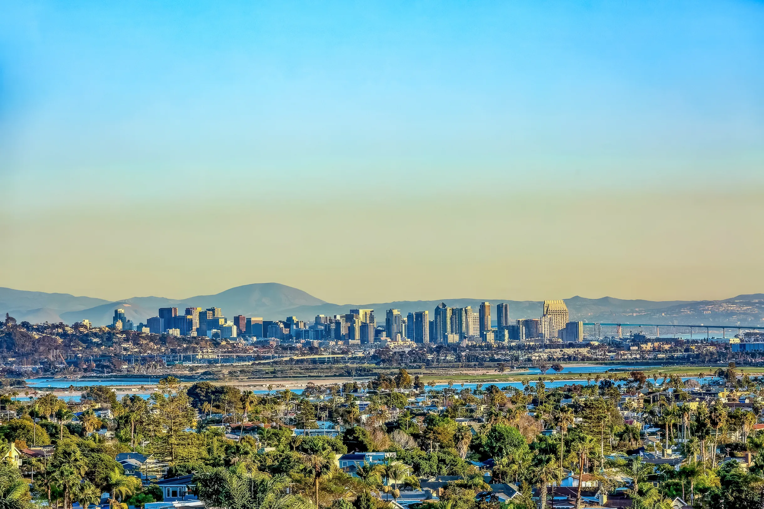 Wander San Diego Nova #5