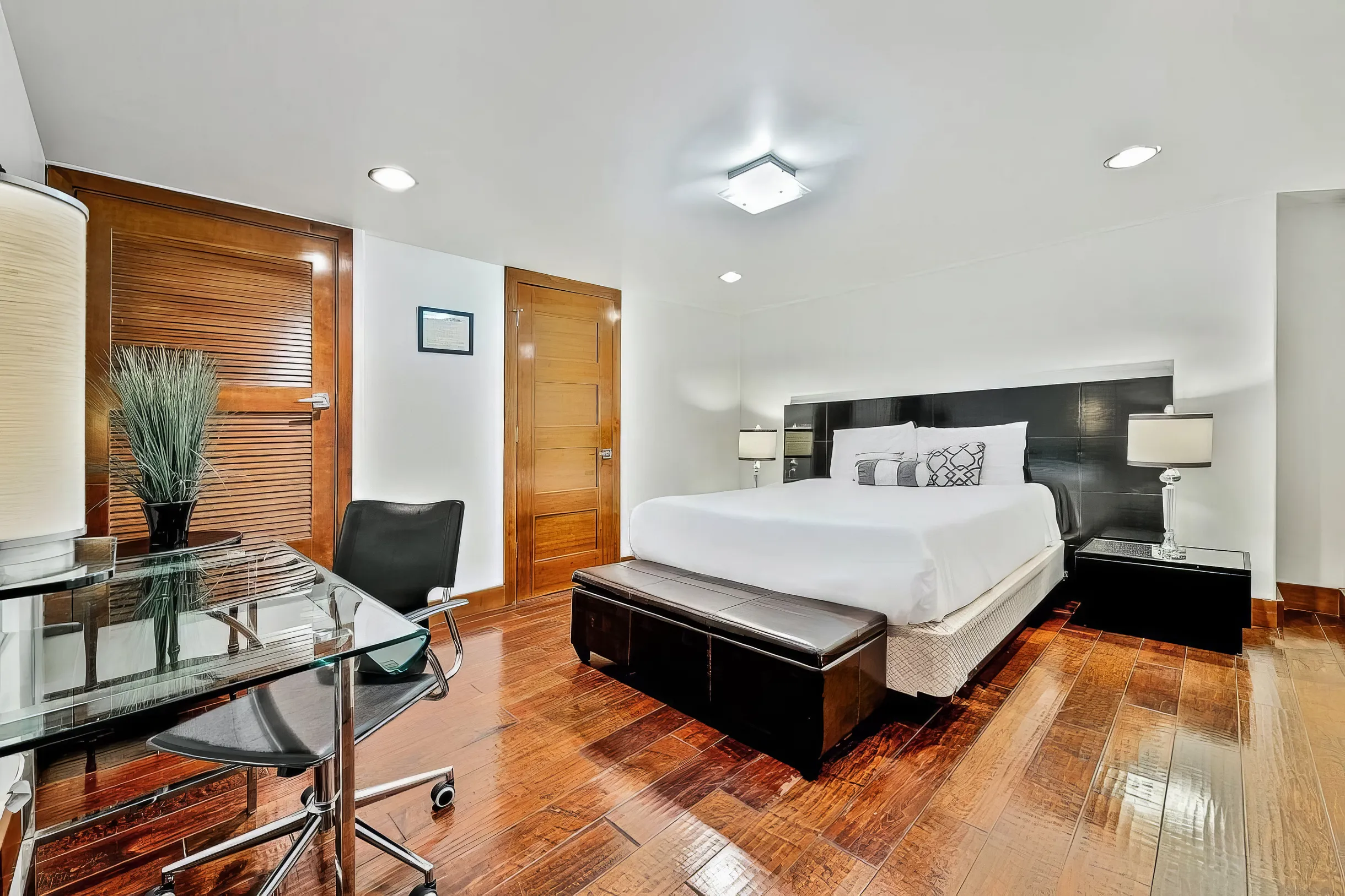 Wander San Diego Nova #31