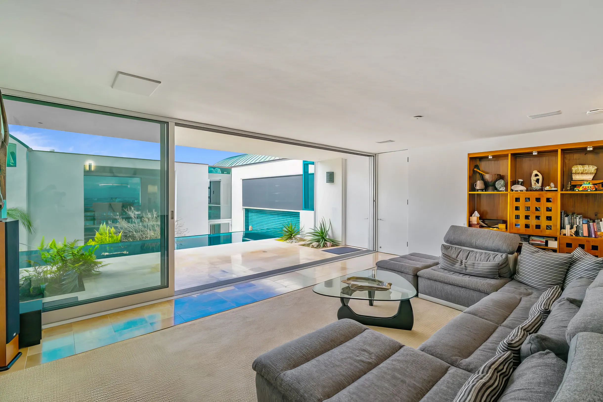 Wander San Diego Sol #24