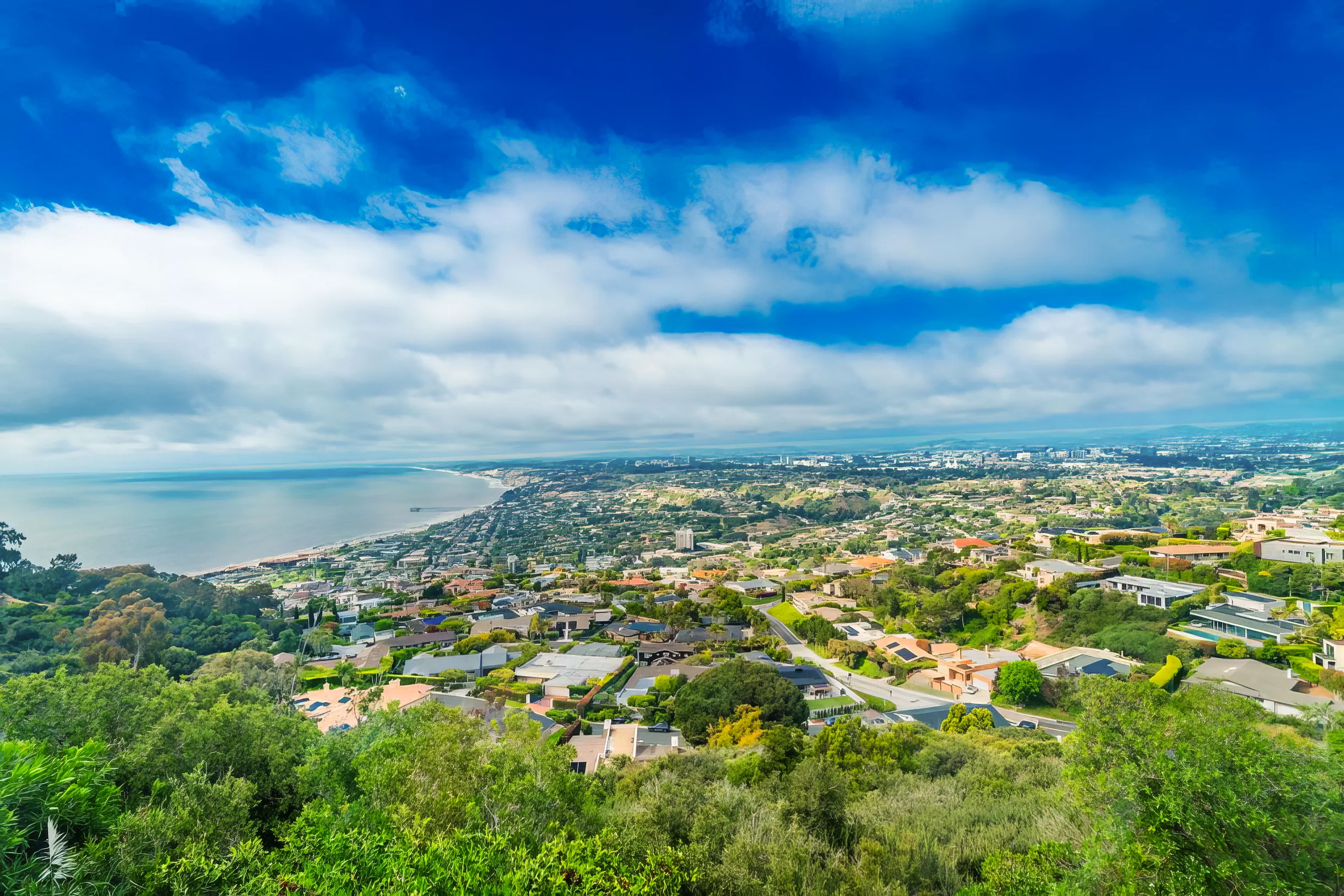 Wander San Diego Sol #5