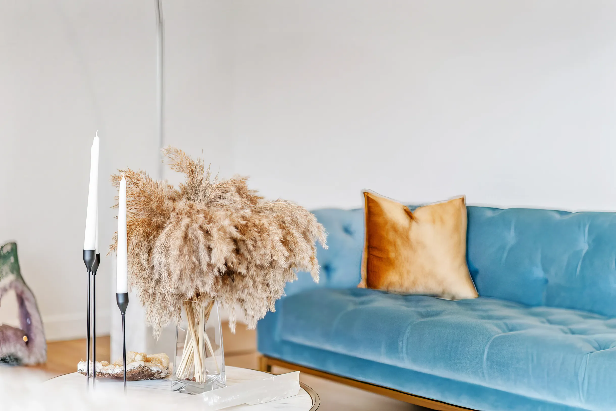 Wander San Diego Canopy #32