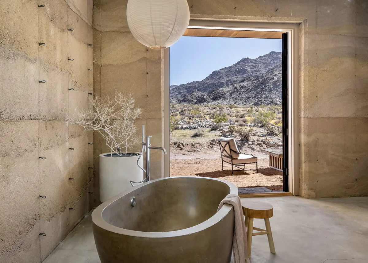 Wander Mojave Desert