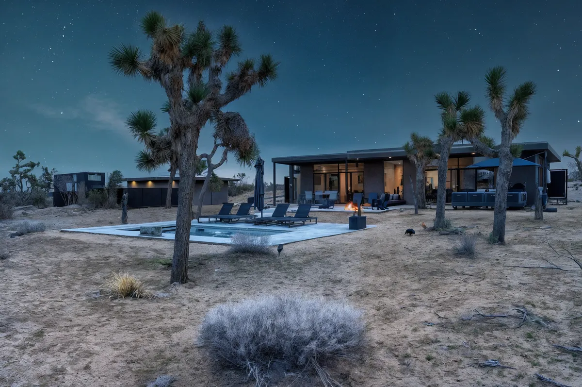 Wander Joshua Tree Spellbound