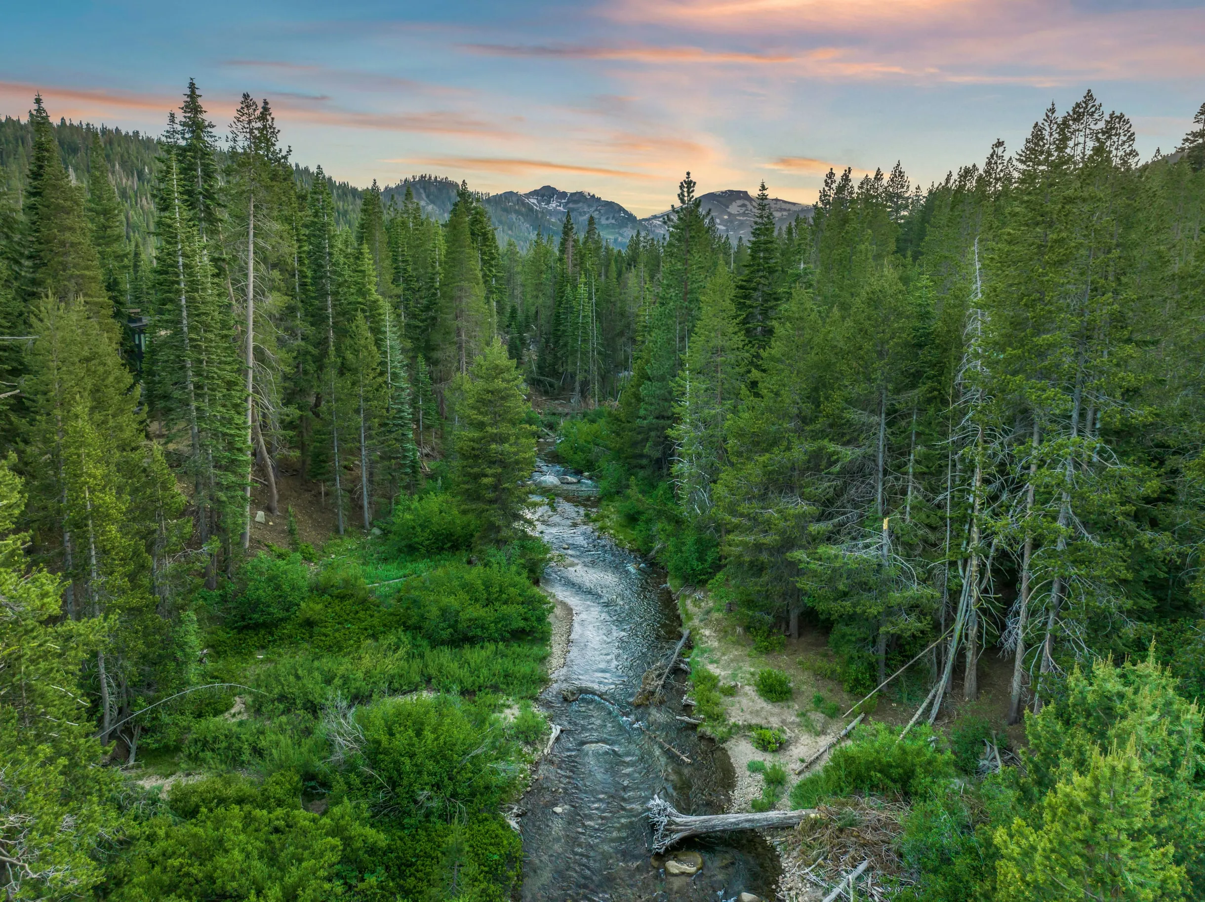 Wander Olympic Valley #32